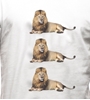 Afbeeldingen van COPA Football - Engeland 3 Lions T-shirt - Wit